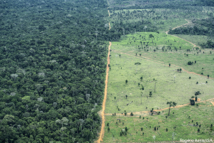 Desmatamento na Amazônia Legal em maio é o segundo maior em seis anos