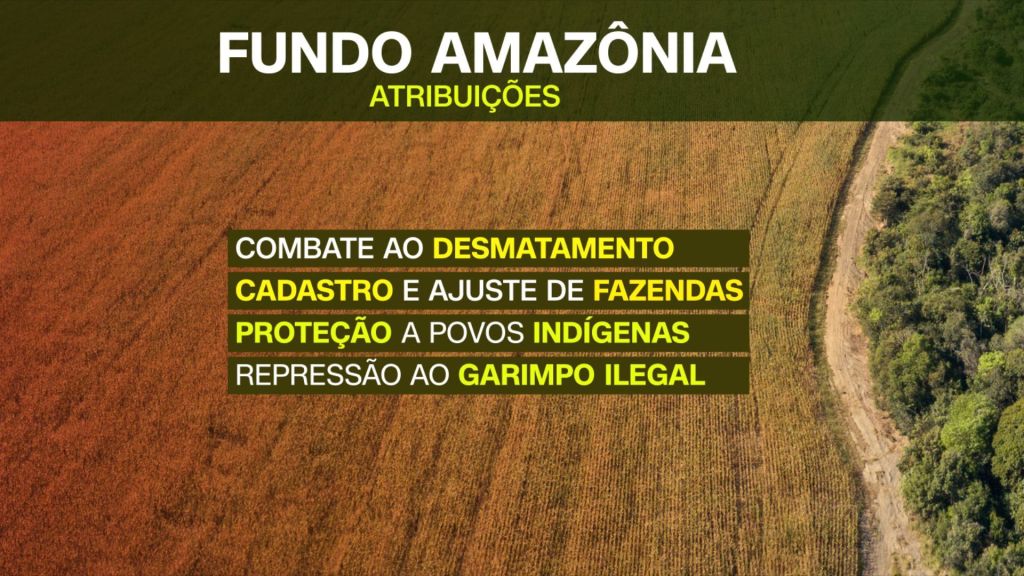 Atribuições do Fundo Amazônia