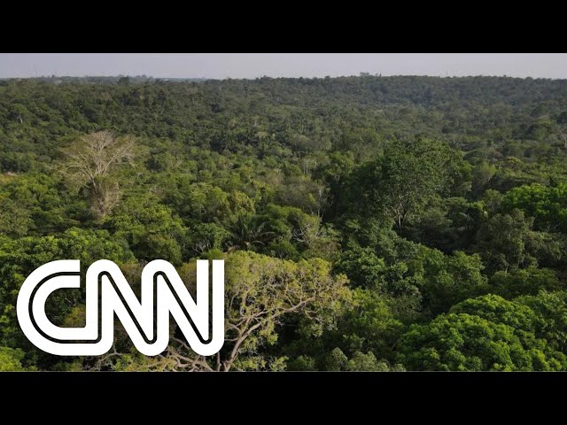França e Espanha querem participar de apoio ao Fundo Amazônia | VISÃO CNN