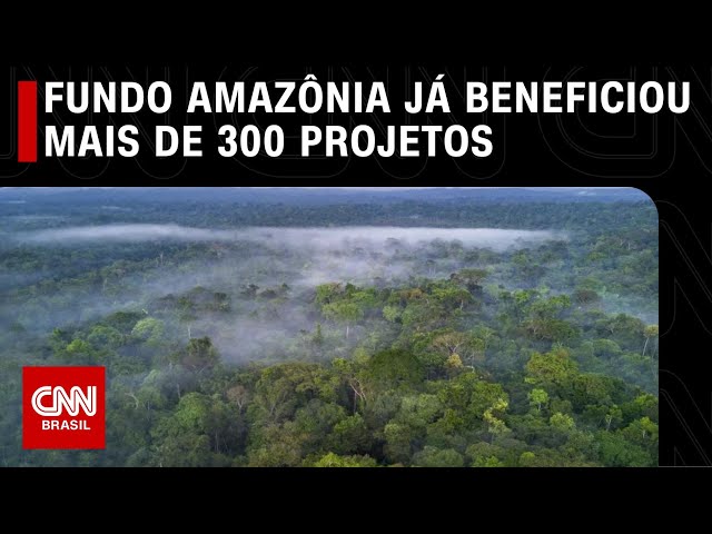 Fundo Amazônia já beneficiou mais de 300 projetos | CNN NOVO DIA