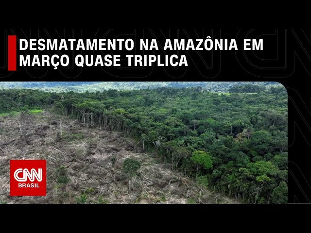 Desmatamento na Amazônia em março quase triplica, aponta Imazon | LIVE CNN