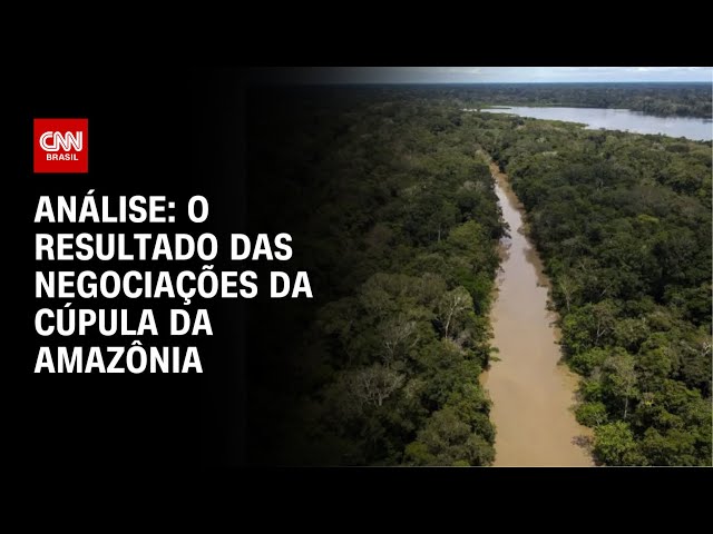 Análise: O resultado das negociações da Cúpula da Amazônia | WW