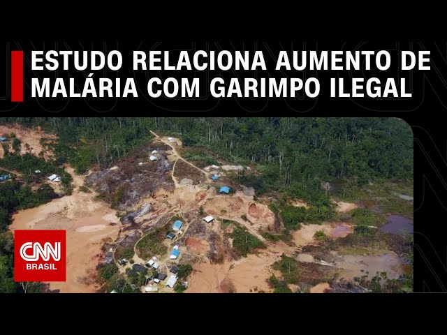 Estudo relaciona aumento de malária com garimpo ilegal | LIVE CNN