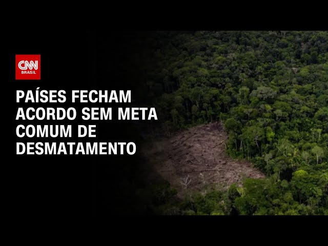 Países fecham acordo sem meta comum de desmatamento | CNN PRIME TIME