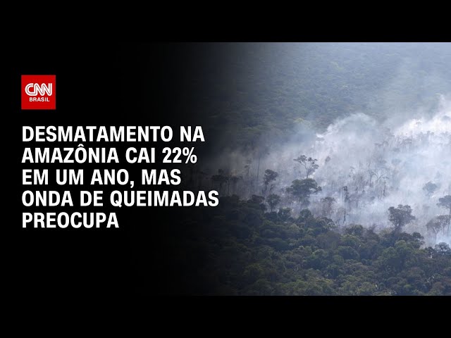 Desmatamento na Amazônia cai 22% em um ano, mas onda de queimadas preocupa | LIVE CNN